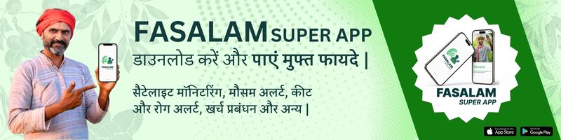 Advertisement 2 - Download Mobile App
