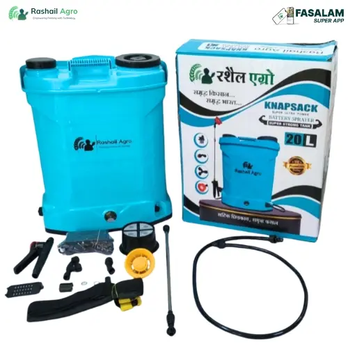 Rashail 12V 12Ah Double Motor Battery Sprayer 20L Tank – High Pressure Agriculture Sprayer for Pesticide & Fertilizer Spraying