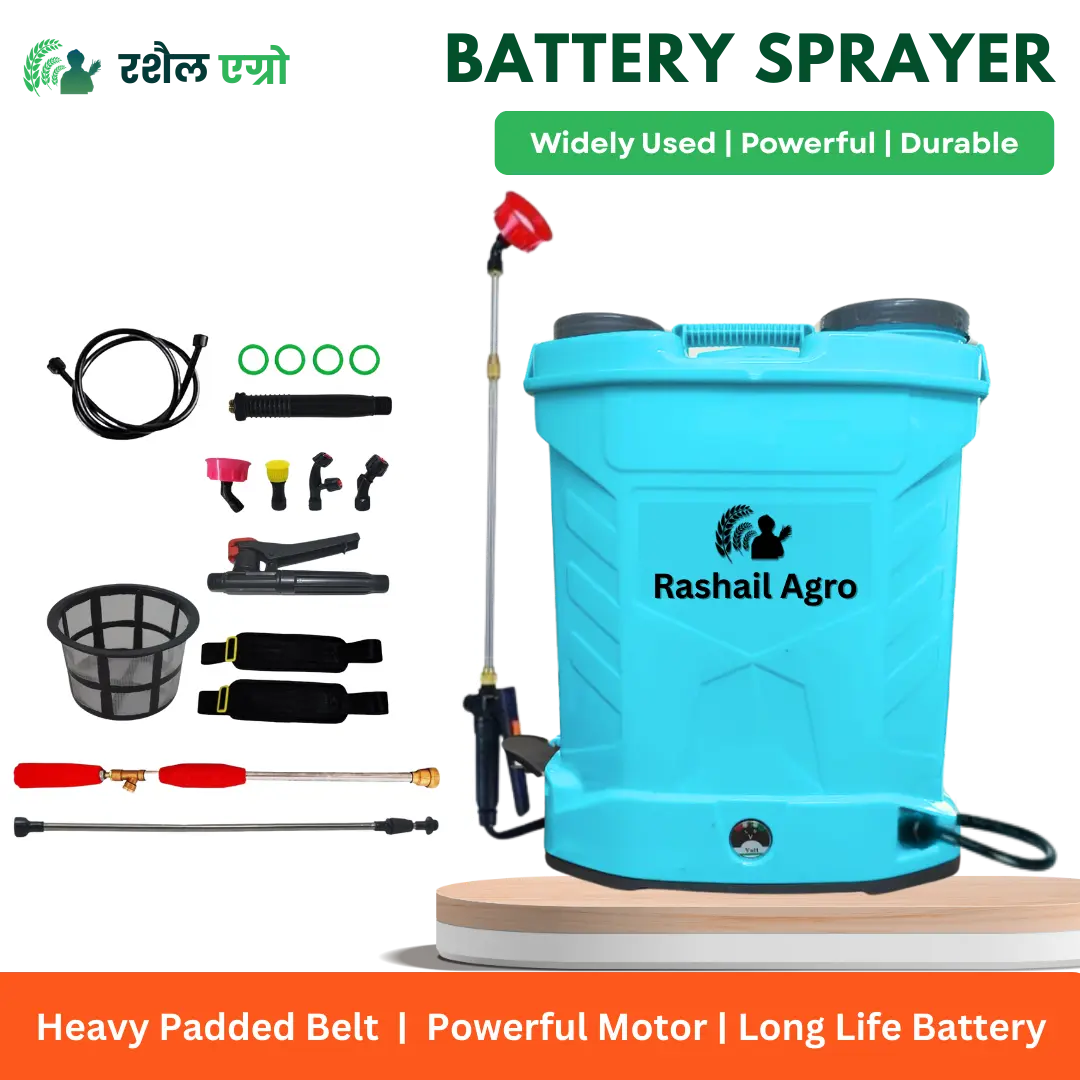 Rashail 12V 18Ah Double Motor Battery Sprayer 20L Tank – High Pressure Agriculture Sprayer for Pesticide & Fertilizer Spraying