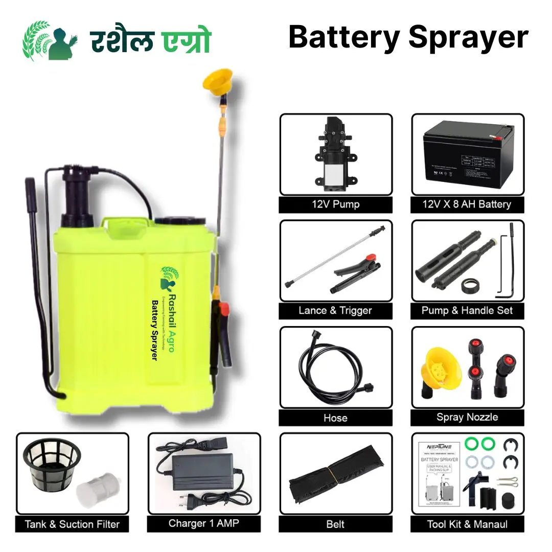 Rashail BSK-18 12V 12A Battery & Manual 2-in-1 Knapsack Sprayer 18L – High Pressure Sprayer for Farming & Gardening